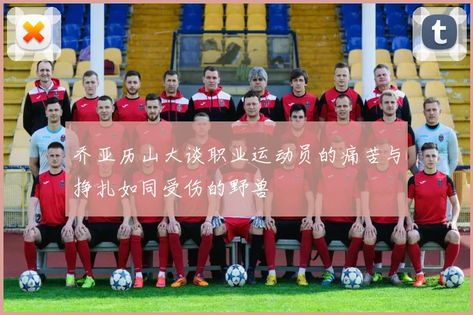 乔亚历山大谈职业运动员的痛苦与挣扎如同受伤的野兽