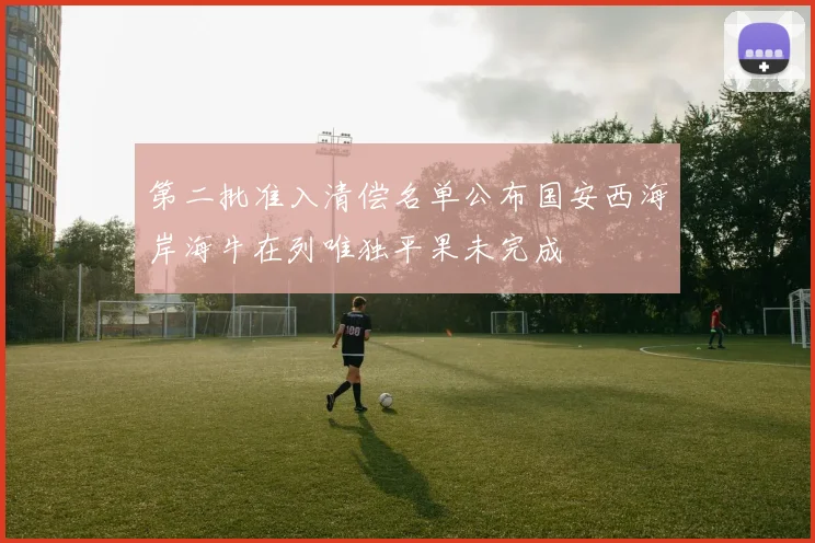 第二批准入清偿名单公布国安西海岸海牛在列唯独平果未完成