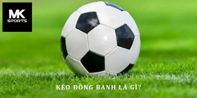 Giới thiệu kèo đồng banh Mksport là gì?