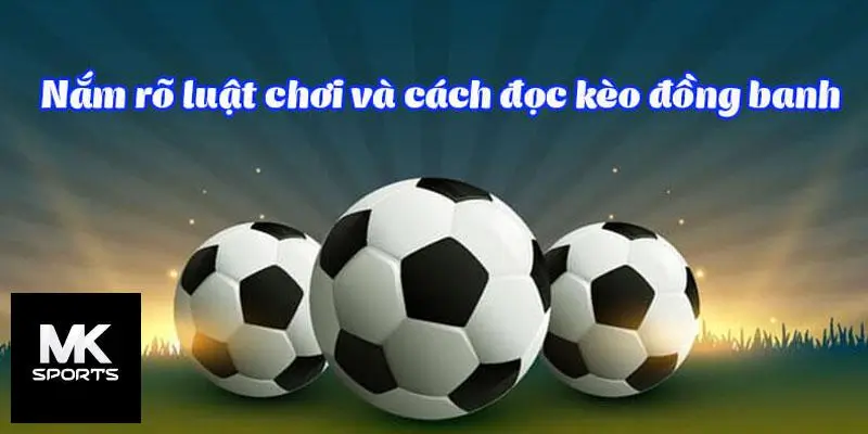 Kỹ năng giúp hội viên Mksport tham gia cá độ kèo đồng banh hiệu quả nhất