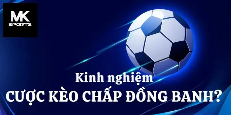 Thử sức kèo đồng banh tại website cá cược Mksport uy tín